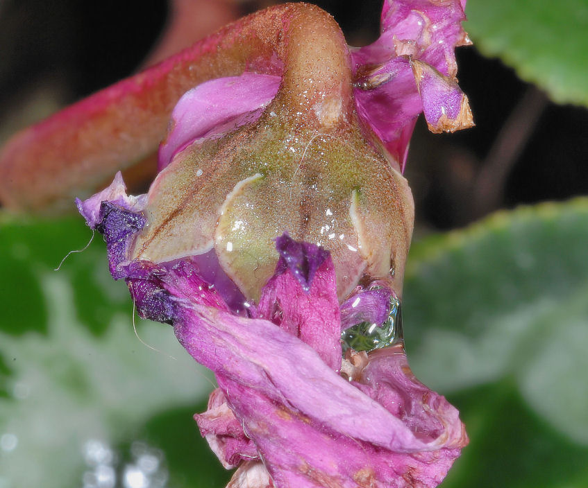 Contrapposizione.....!